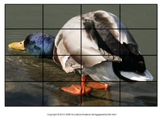 Puzzle-Stockente-8.pdf